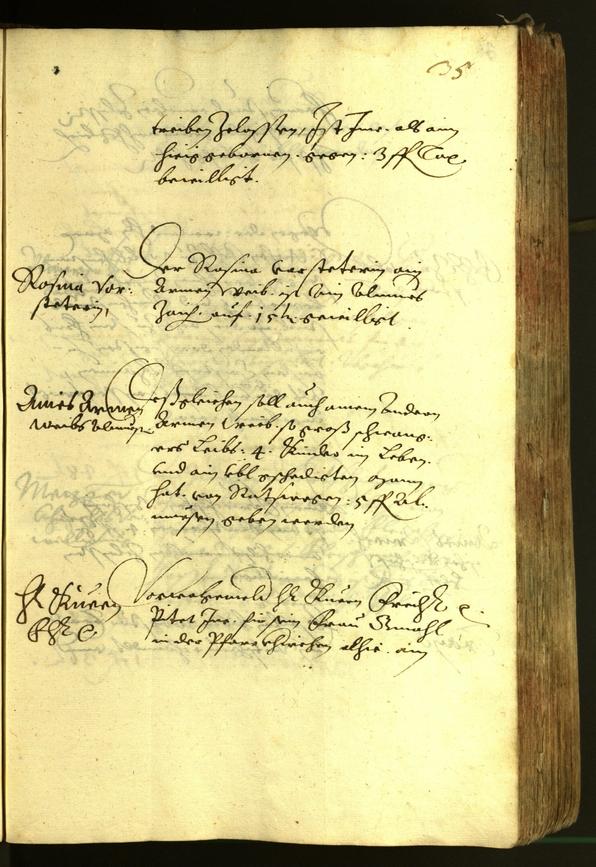 Archivio Storico della Città di Bolzano - BOhisto protocollo consiliare 1620 