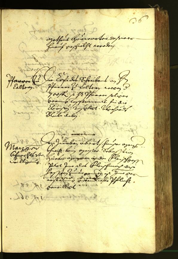 Civic Archives of Bozen-Bolzano - BOhisto Minutes of the council 1620 