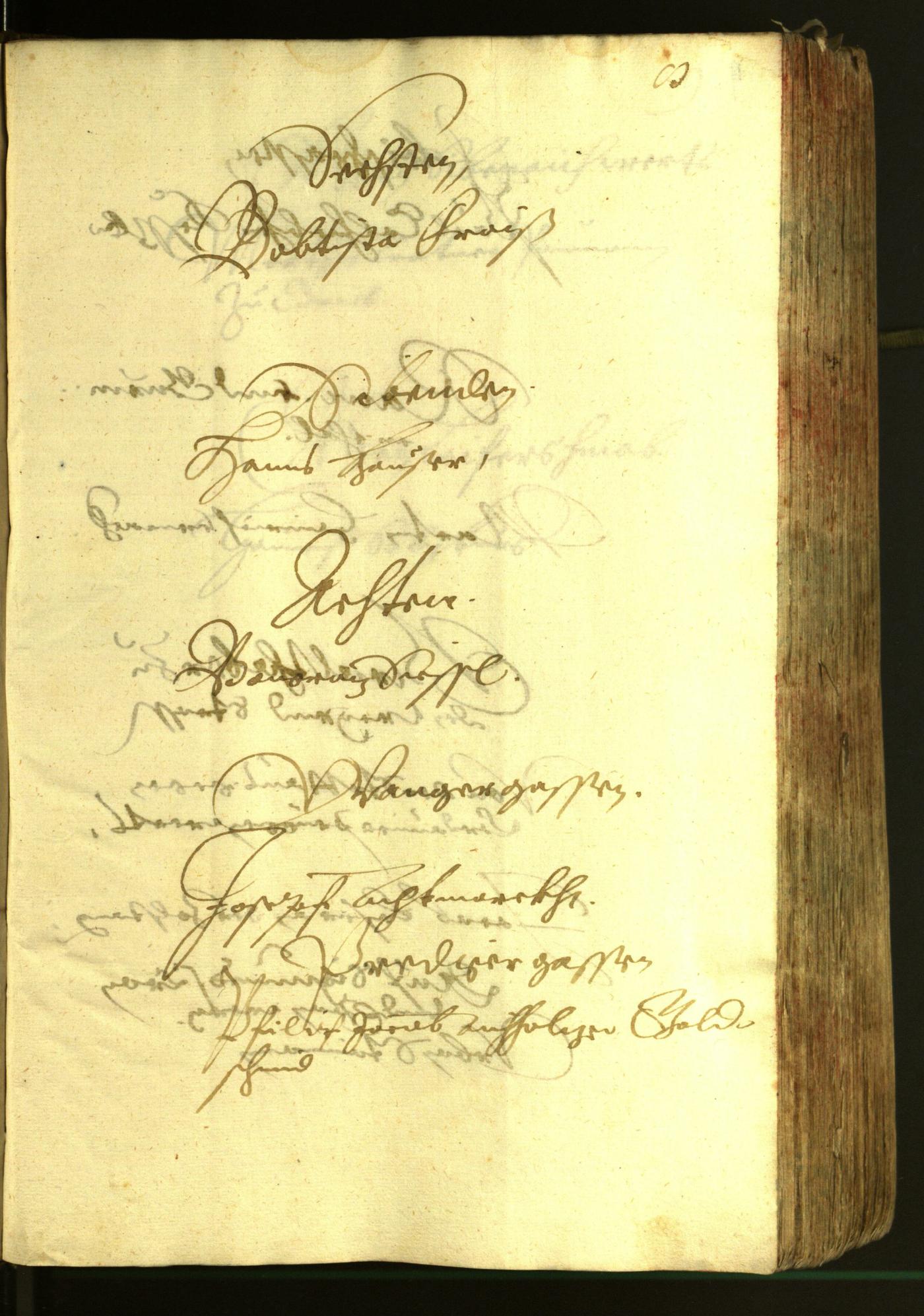 Civic Archives of Bozen-Bolzano - BOhisto Minutes of the council 1620 