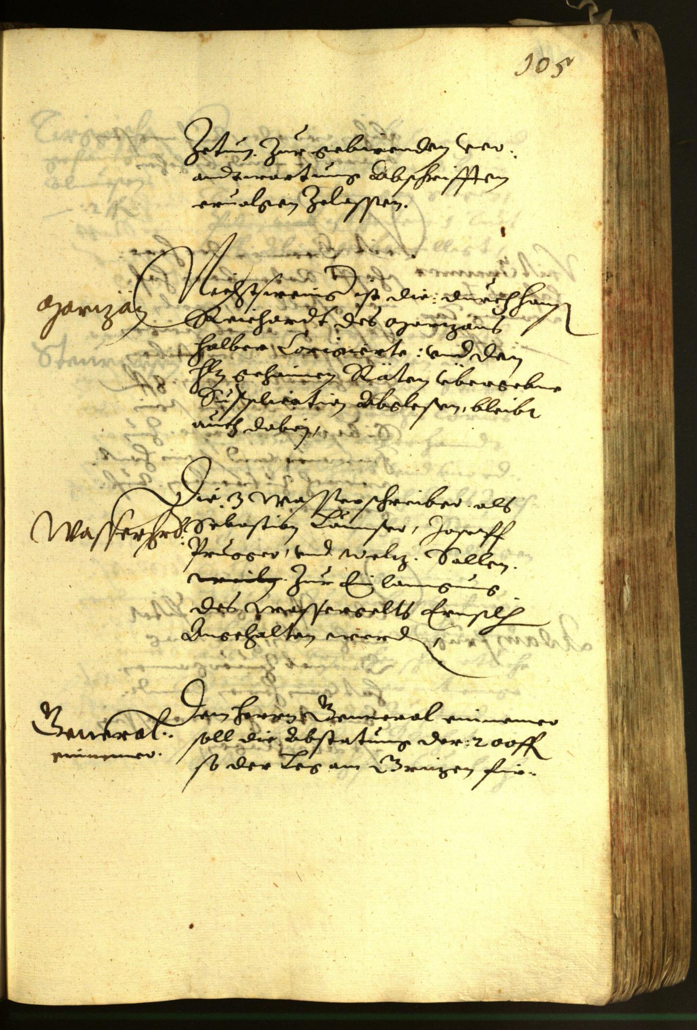 Stadtarchiv Bozen - BOhisto Ratsprotokoll 1620 