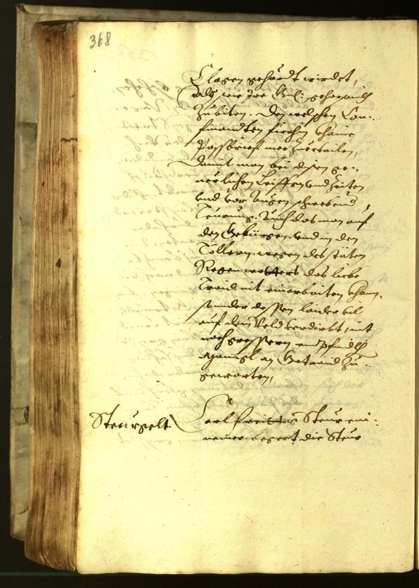 Civic Archives of Bozen-Bolzano - BOhisto Minutes of the council 1621 