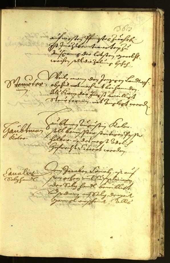 Civic Archives of Bozen-Bolzano - BOhisto Minutes of the council 1621 