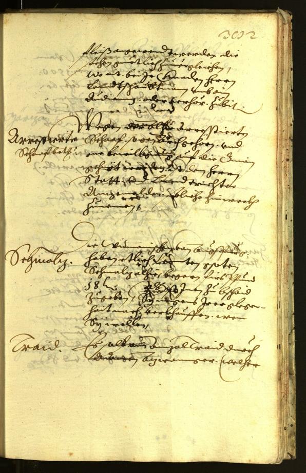 Archivio Storico della Città di Bolzano - BOhisto protocollo consiliare 1621 