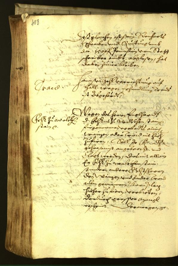 Civic Archives of Bozen-Bolzano - BOhisto Minutes of the council 1621 