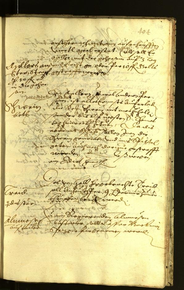 Civic Archives of Bozen-Bolzano - BOhisto Minutes of the council 1621 