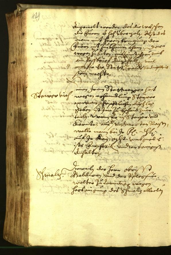 Civic Archives of Bozen-Bolzano - BOhisto Minutes of the council 1621 