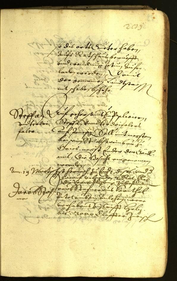 Civic Archives of Bozen-Bolzano - BOhisto Minutes of the council 1621 