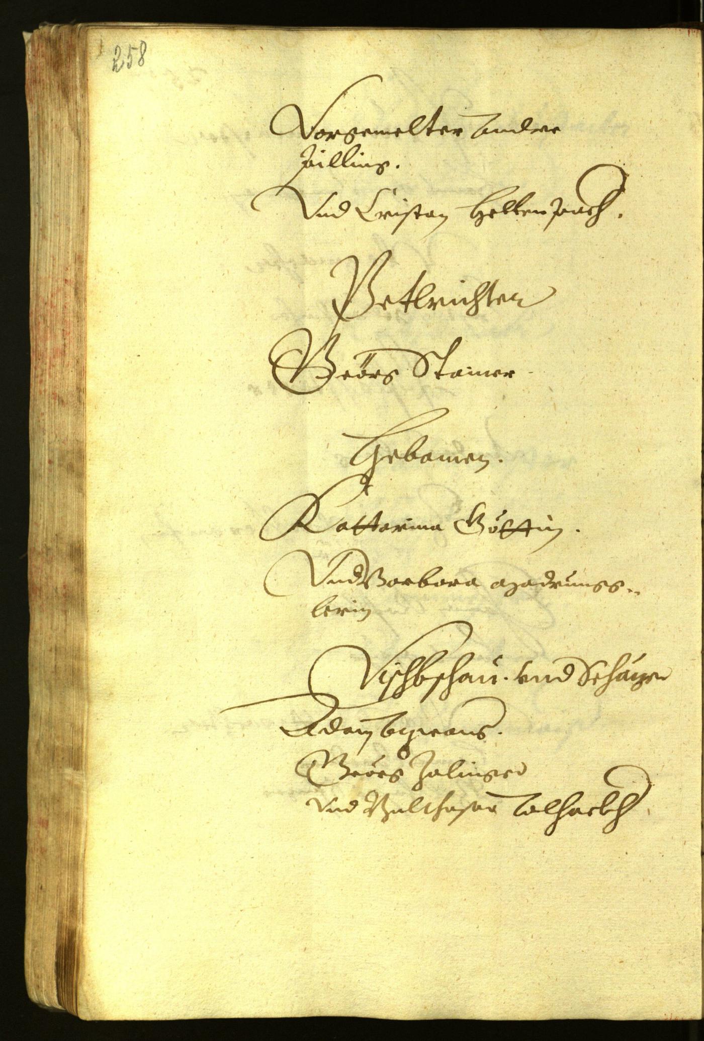 Civic Archives of Bozen-Bolzano - BOhisto Minutes of the council 1621 