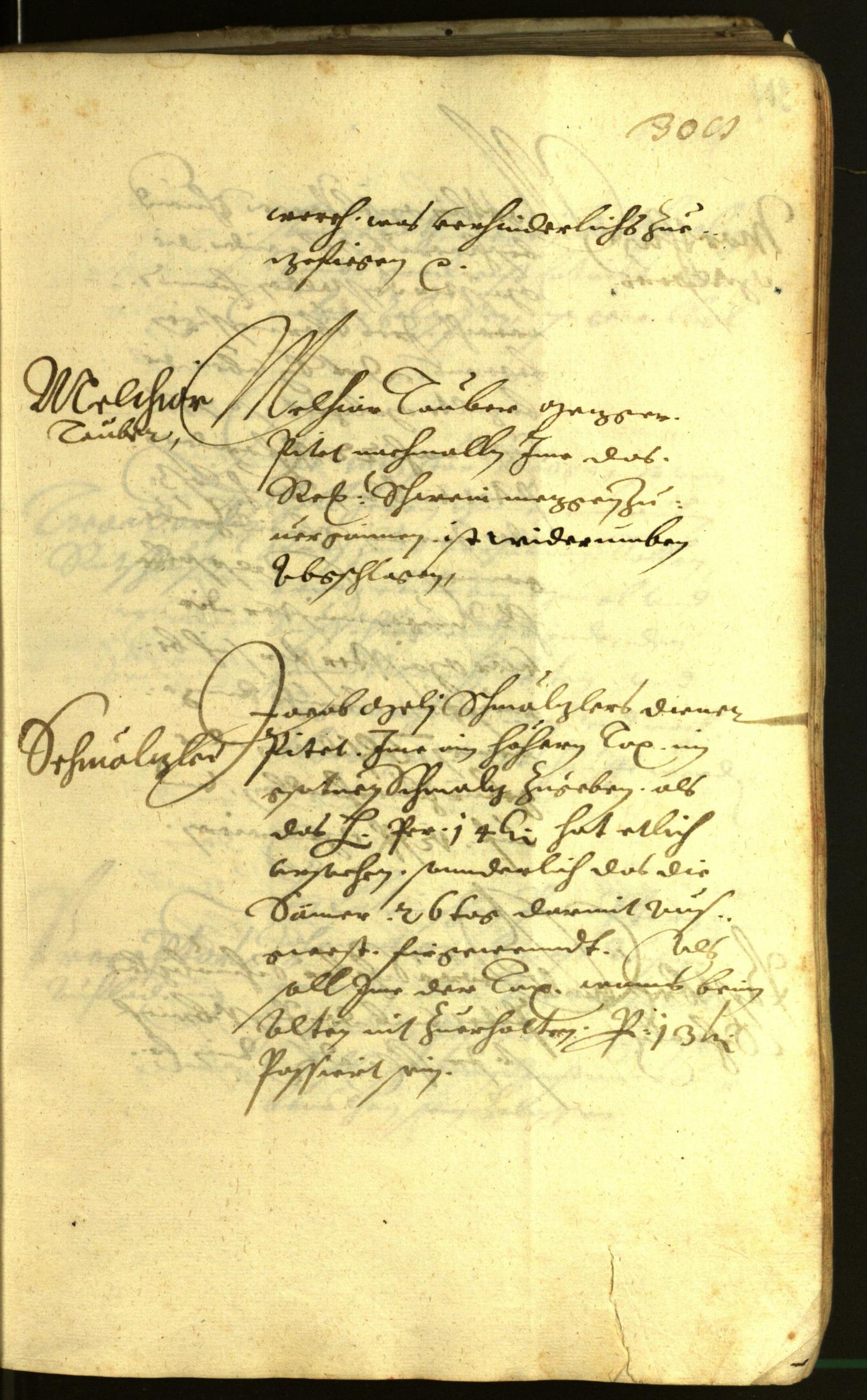 Civic Archives of Bozen-Bolzano - BOhisto Minutes of the council 1621 