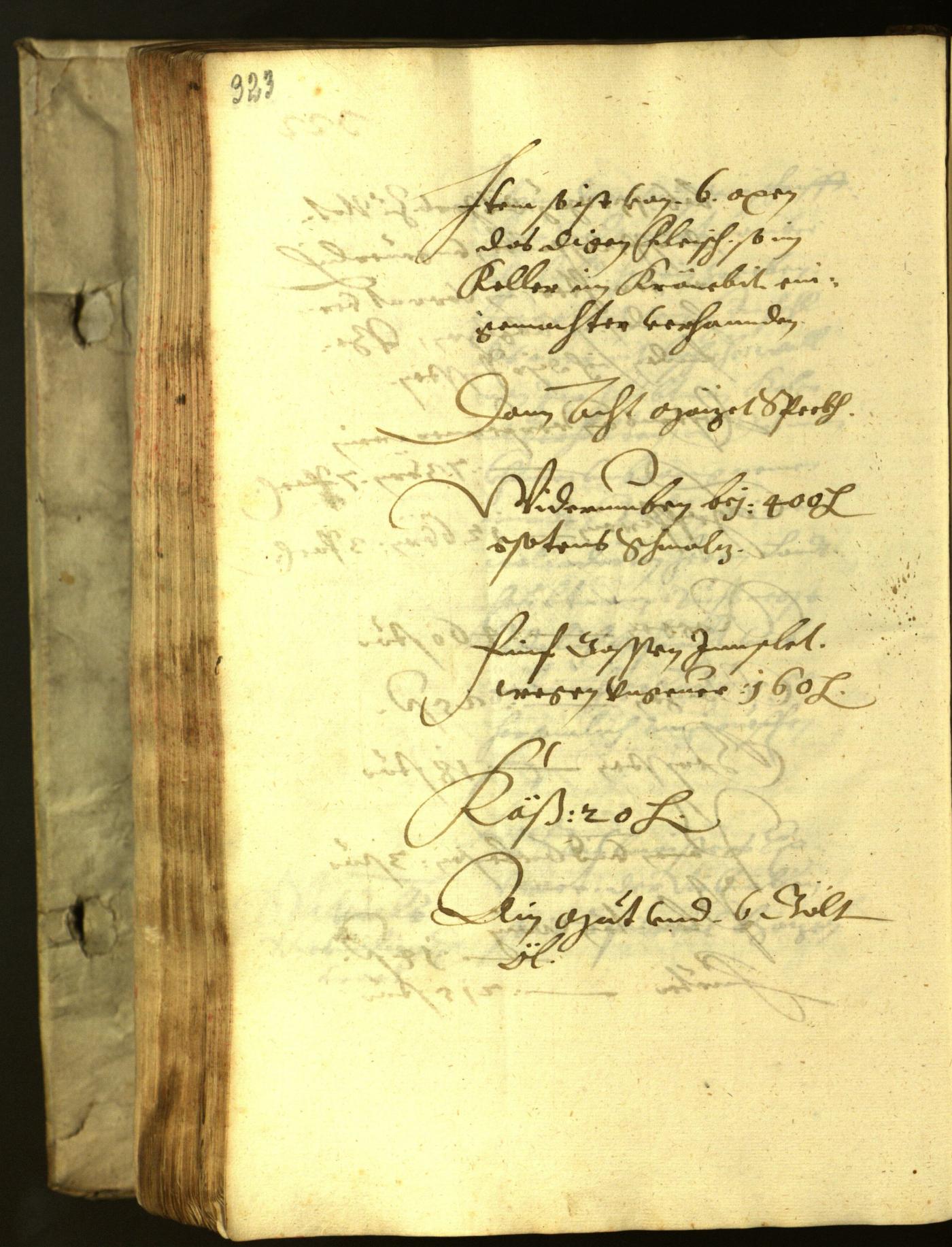 Stadtarchiv Bozen - BOhisto Ratsprotokoll 1621 