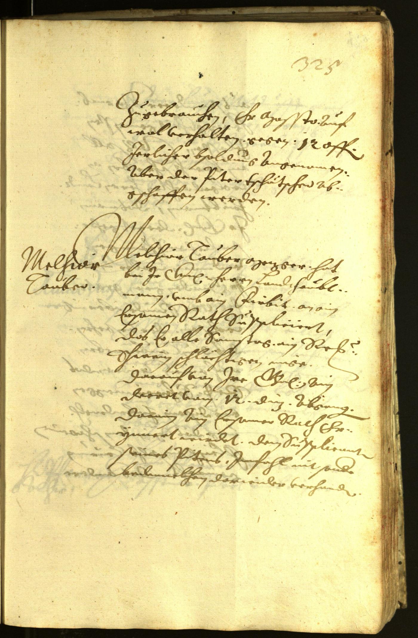 Civic Archives of Bozen-Bolzano - BOhisto Minutes of the council 1621 