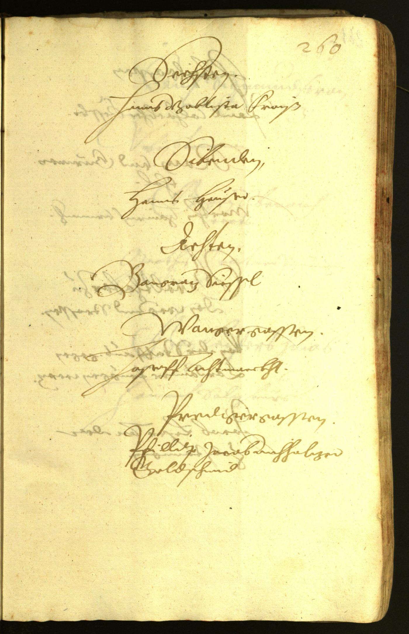 Civic Archives of Bozen-Bolzano - BOhisto Minutes of the council 1621 