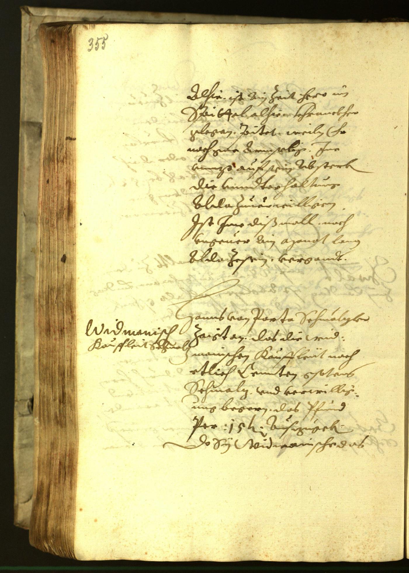 Stadtarchiv Bozen - BOhisto Ratsprotokoll 1621 