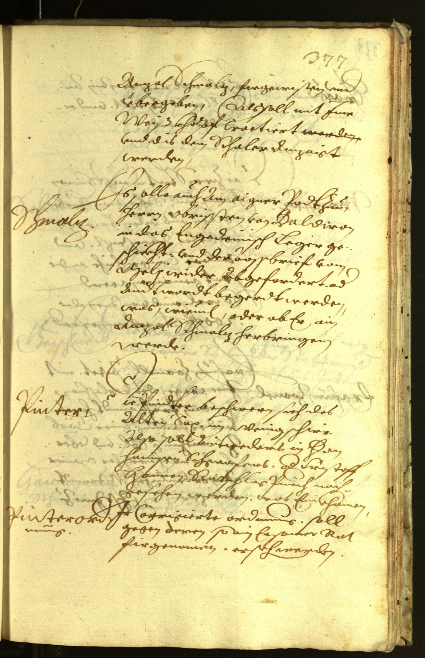 Civic Archives of Bozen-Bolzano - BOhisto Minutes of the council 1621 