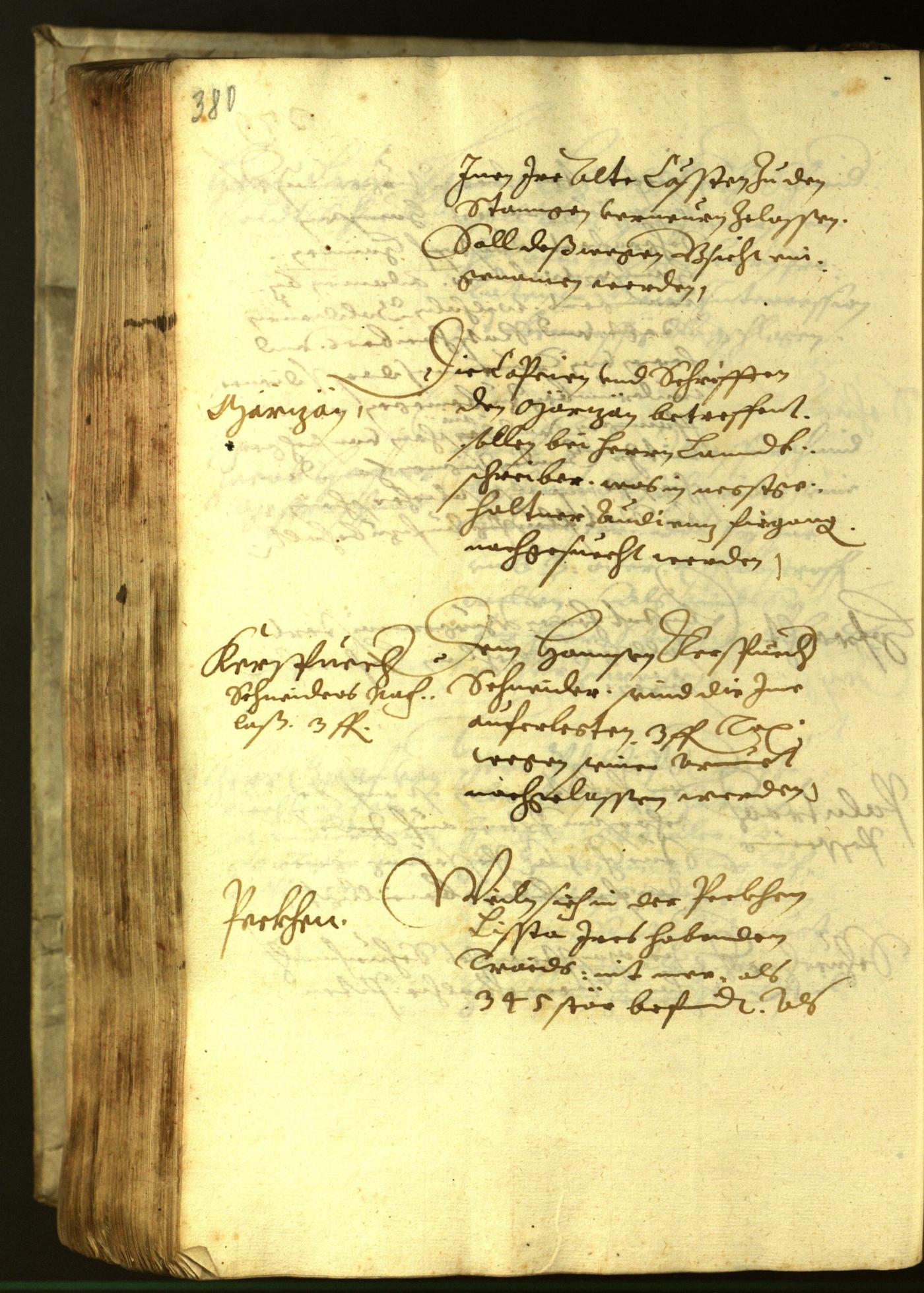 Civic Archives of Bozen-Bolzano - BOhisto Minutes of the council 1621 