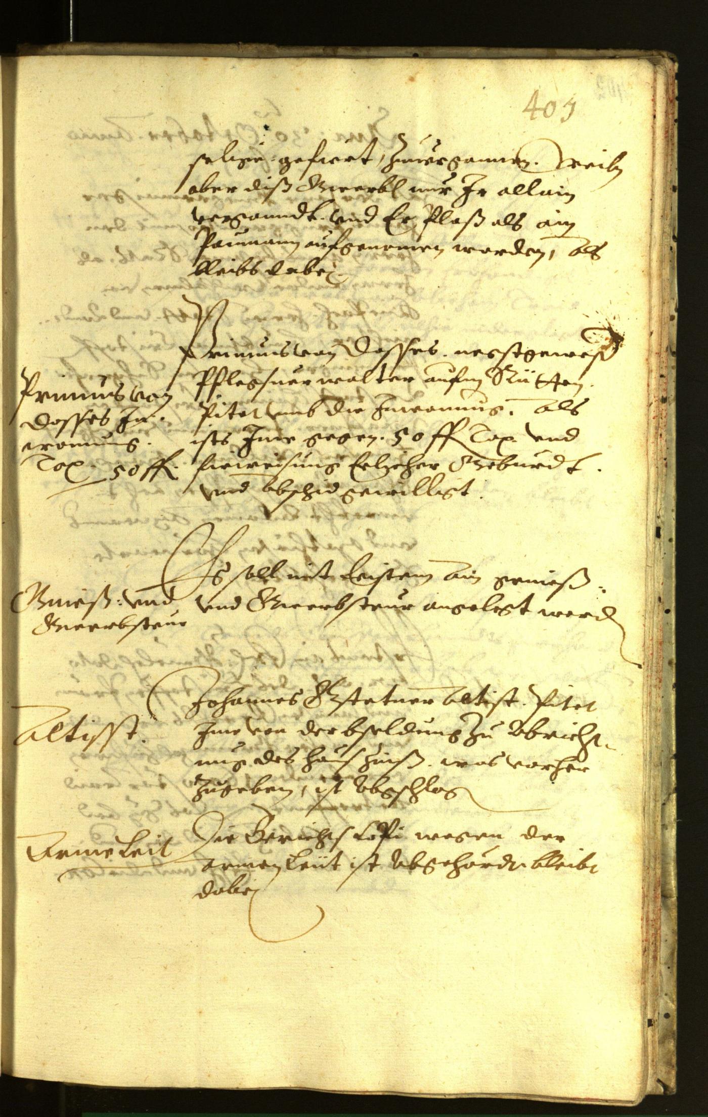 Civic Archives of Bozen-Bolzano - BOhisto Minutes of the council 1621 