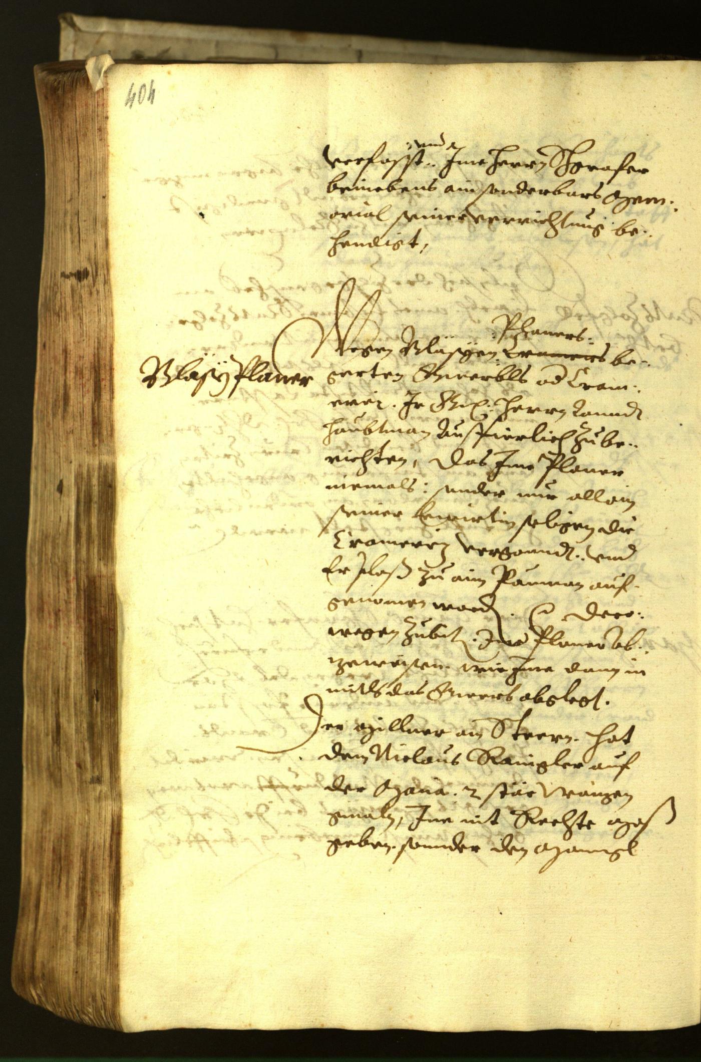 Archivio Storico della Città di Bolzano - BOhisto protocollo consiliare 1621 