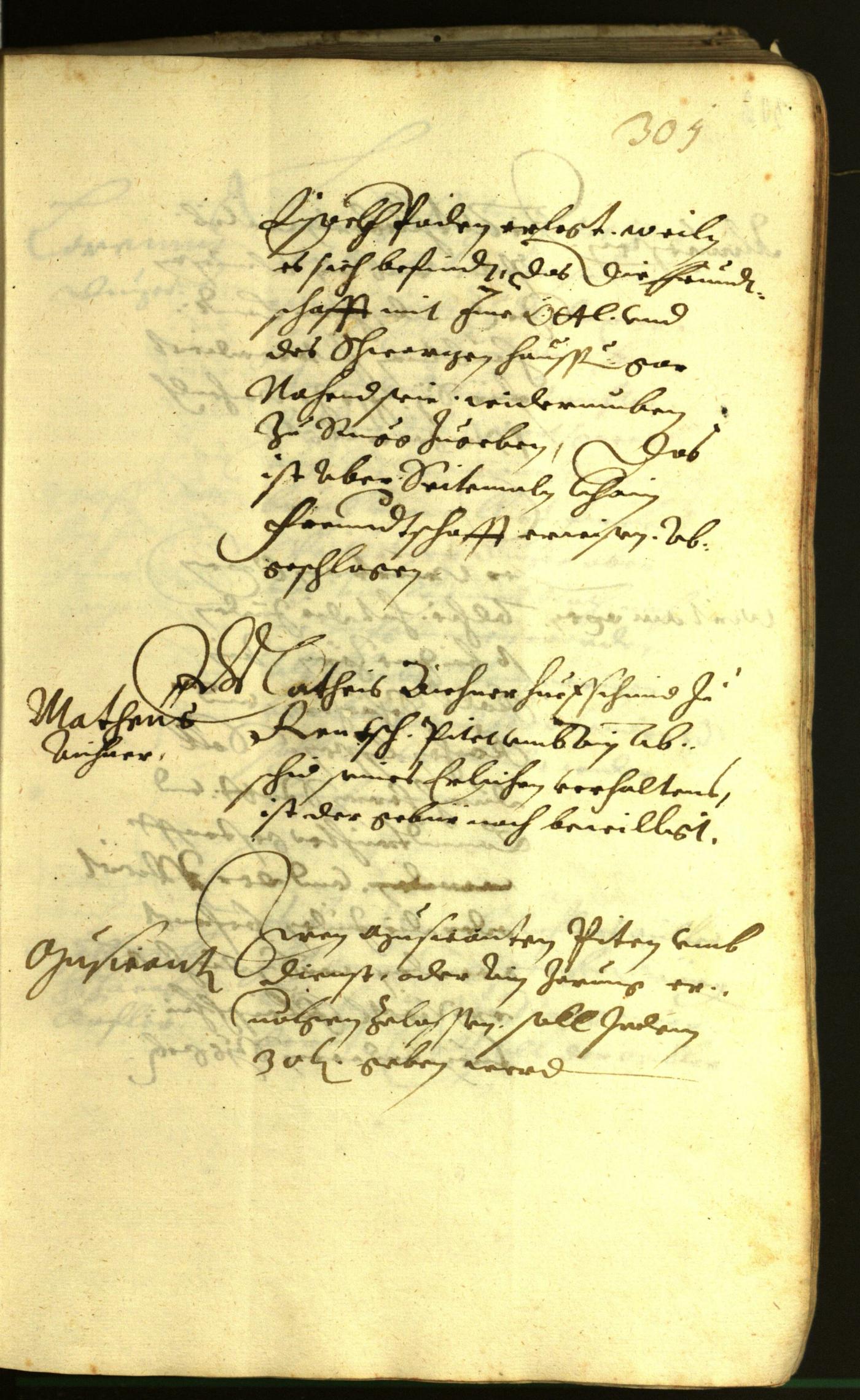 Civic Archives of Bozen-Bolzano - BOhisto Minutes of the council 1621 