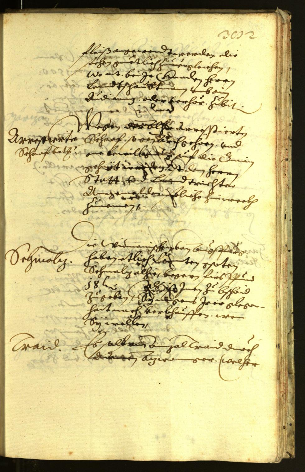 Civic Archives of Bozen-Bolzano - BOhisto Minutes of the council 1621 