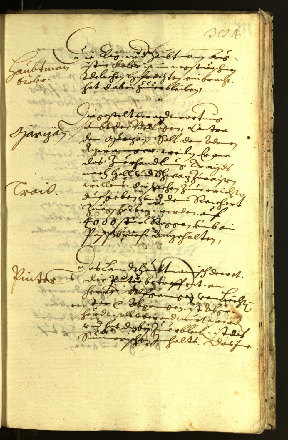 Civic Archives of Bozen-Bolzano - BOhisto Minutes of the council 1621 