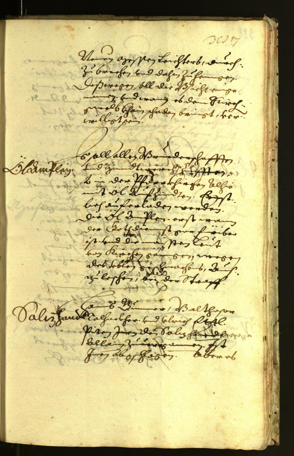 Civic Archives of Bozen-Bolzano - BOhisto Minutes of the council 1621 