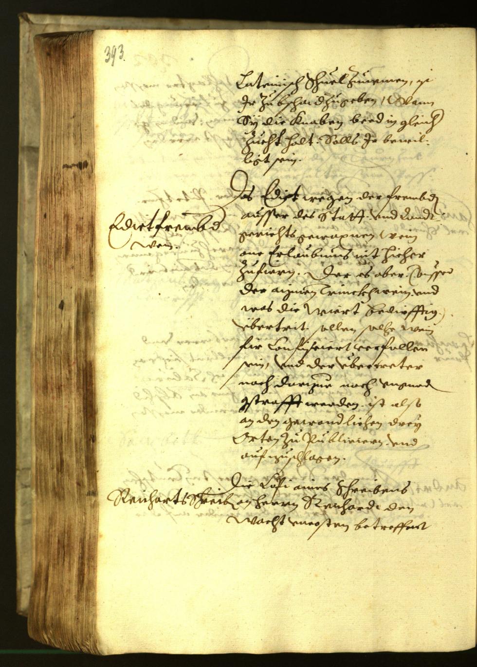 Stadtarchiv Bozen - BOhisto Ratsprotokoll 1621 