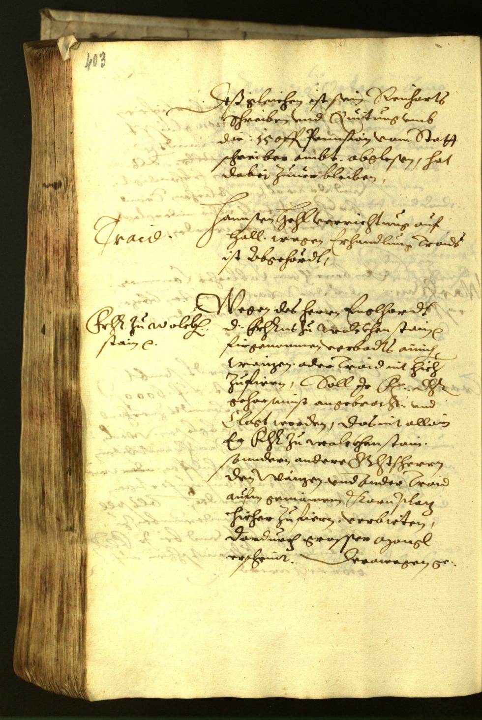 Stadtarchiv Bozen - BOhisto Ratsprotokoll 1621 