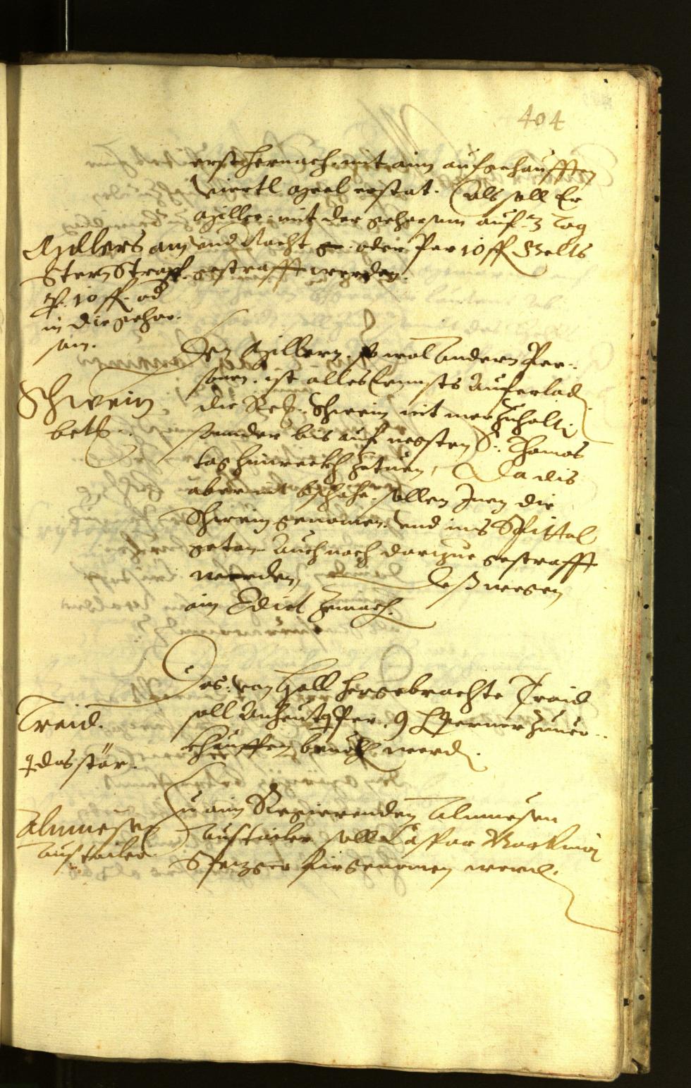 Civic Archives of Bozen-Bolzano - BOhisto Minutes of the council 1621 