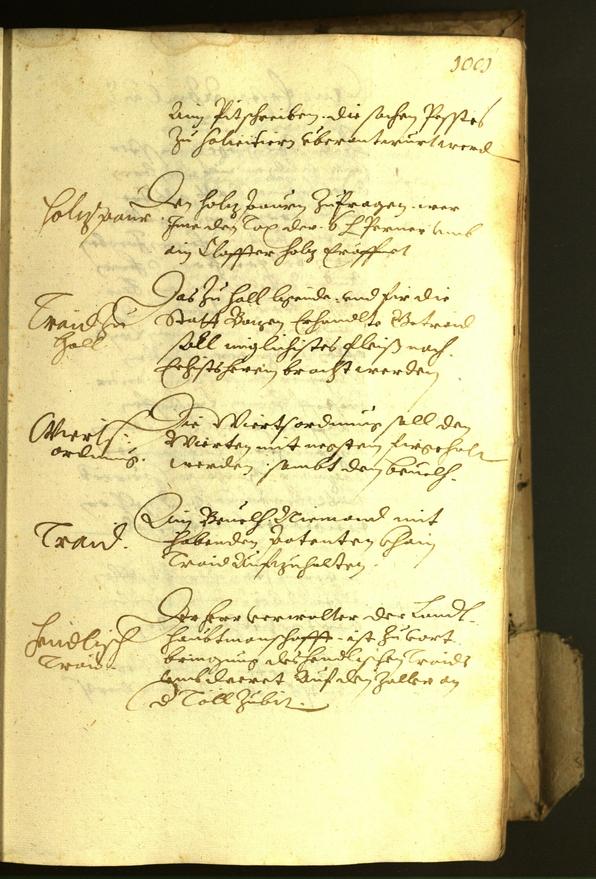 Civic Archives of Bozen-Bolzano - BOhisto Minutes of the council 1622 