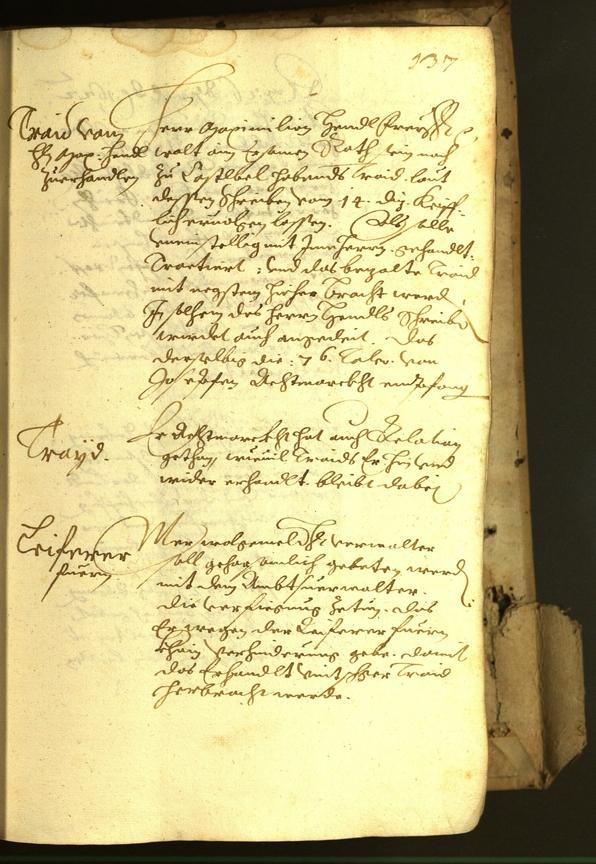 Civic Archives of Bozen-Bolzano - BOhisto Minutes of the council 1622 