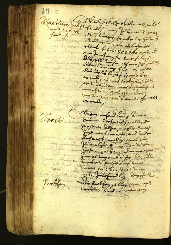 Archivio Storico della Città di Bolzano - BOhisto protocollo consiliare 1622 