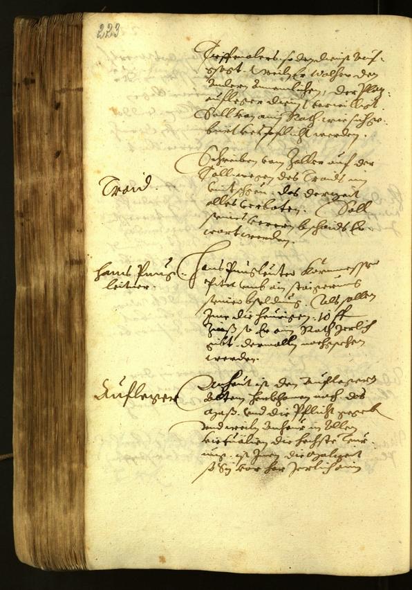 Civic Archives of Bozen-Bolzano - BOhisto Minutes of the council 1622 