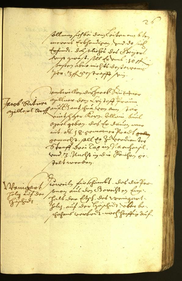 Civic Archives of Bozen-Bolzano - BOhisto Minutes of the council 1622 