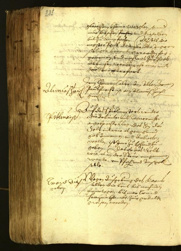 Civic Archives of Bozen-Bolzano - BOhisto Minutes of the council 1622 