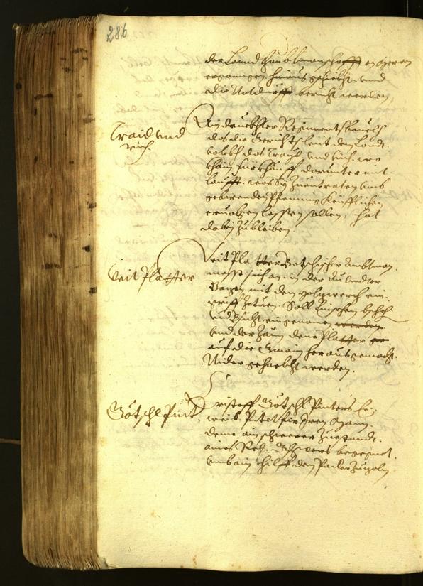 Civic Archives of Bozen-Bolzano - BOhisto Minutes of the council 1622 