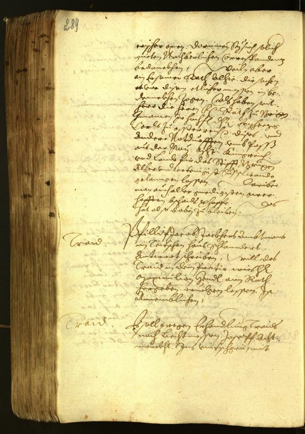 Civic Archives of Bozen-Bolzano - BOhisto Minutes of the council 1622 