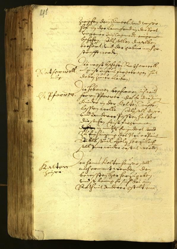 Civic Archives of Bozen-Bolzano - BOhisto Minutes of the council 1622 