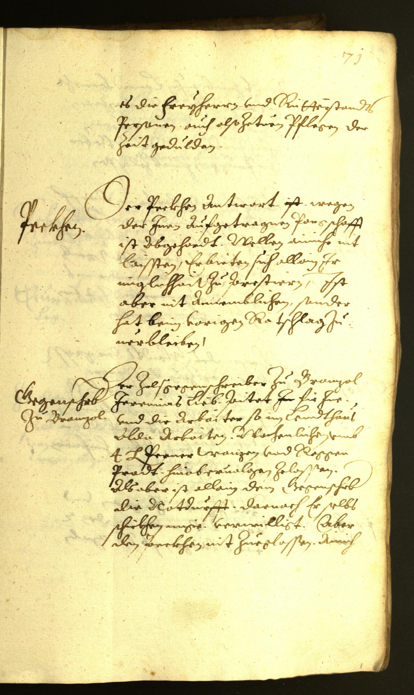 Civic Archives of Bozen-Bolzano - BOhisto Minutes of the council 1622 