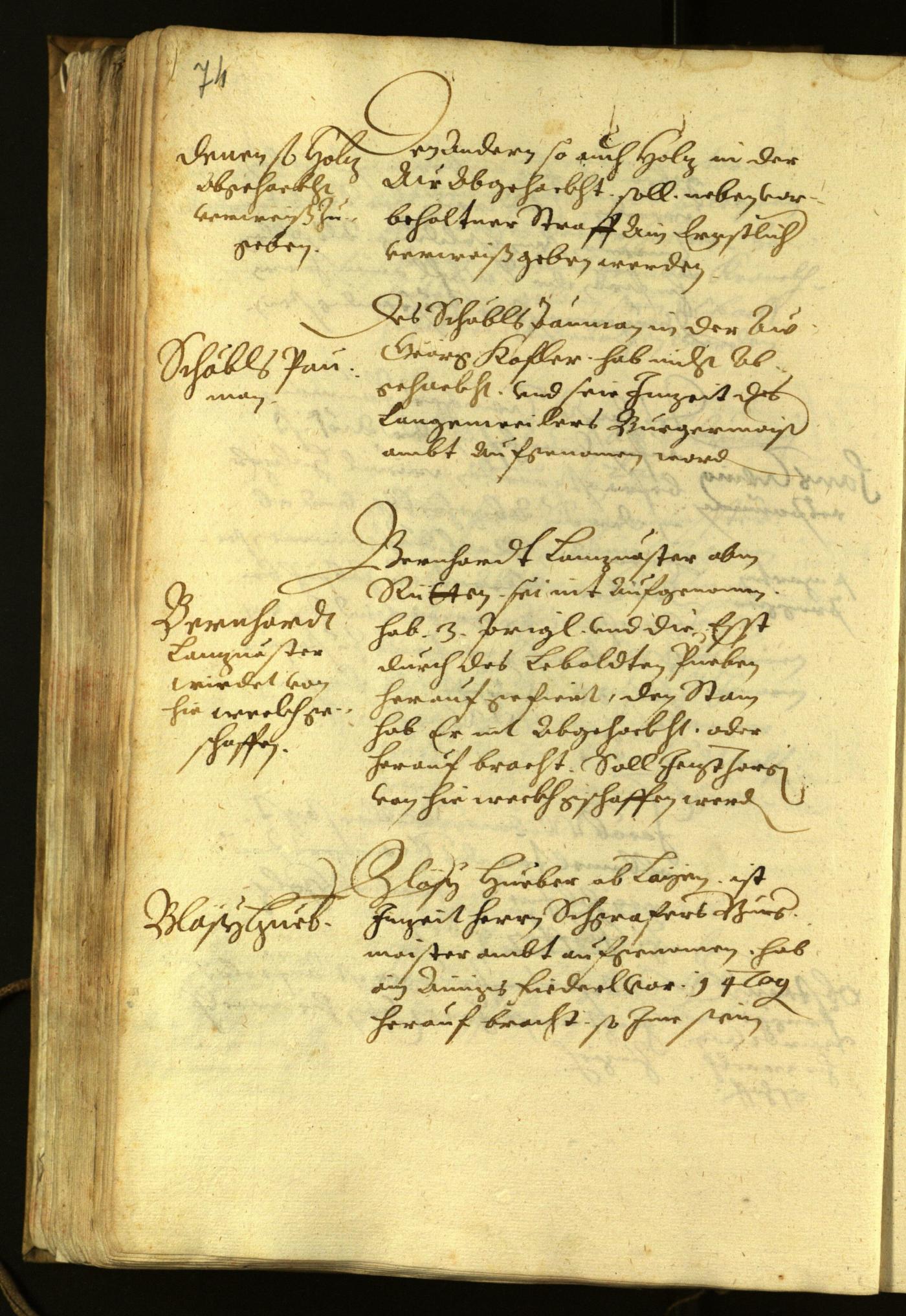 Civic Archives of Bozen-Bolzano - BOhisto Minutes of the council 1622 