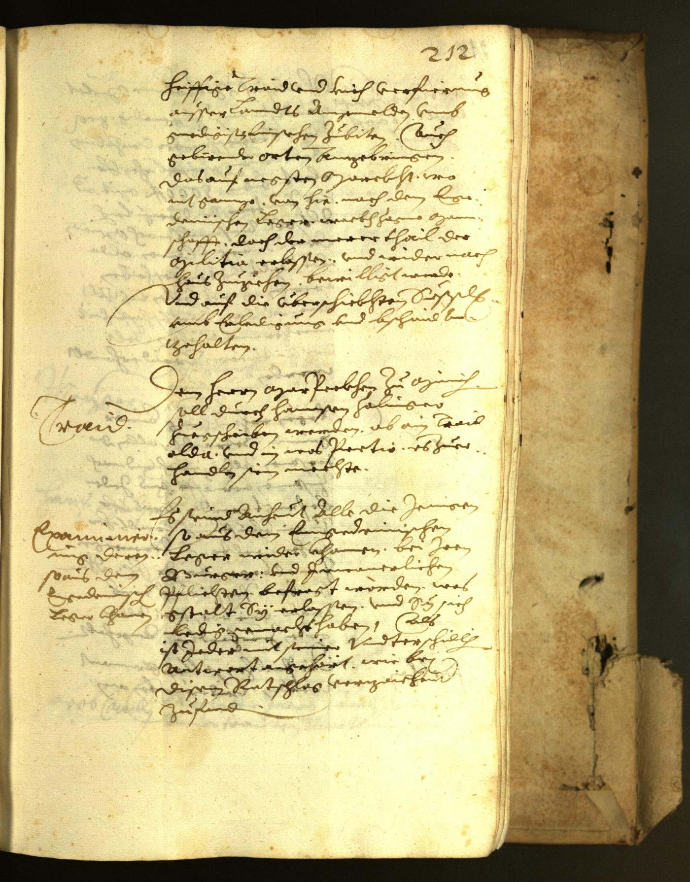 Stadtarchiv Bozen - BOhisto Ratsprotokoll 1622 