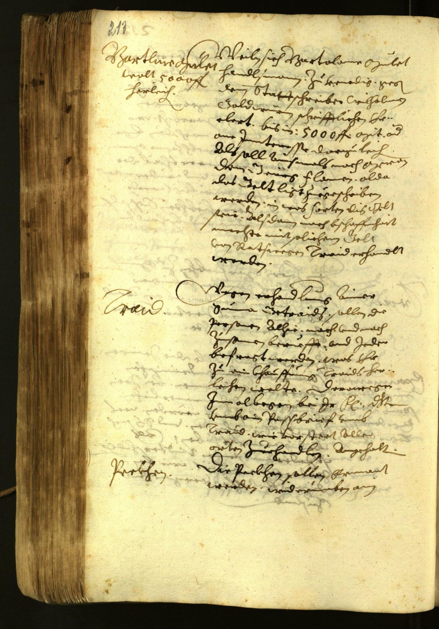 Civic Archives of Bozen-Bolzano - BOhisto Minutes of the council 1622 