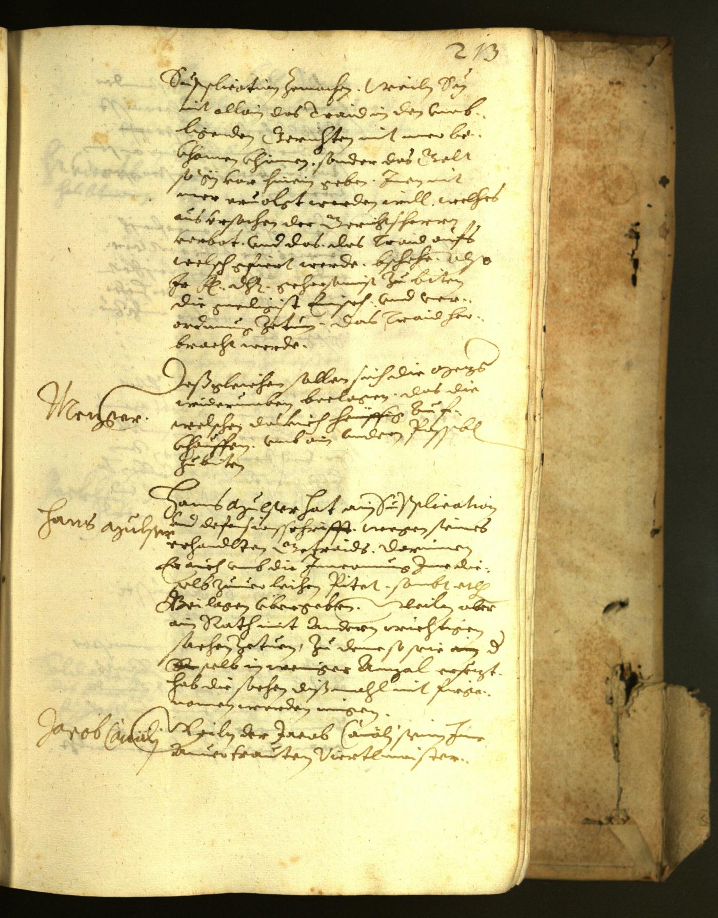 Civic Archives of Bozen-Bolzano - BOhisto Minutes of the council 1622 