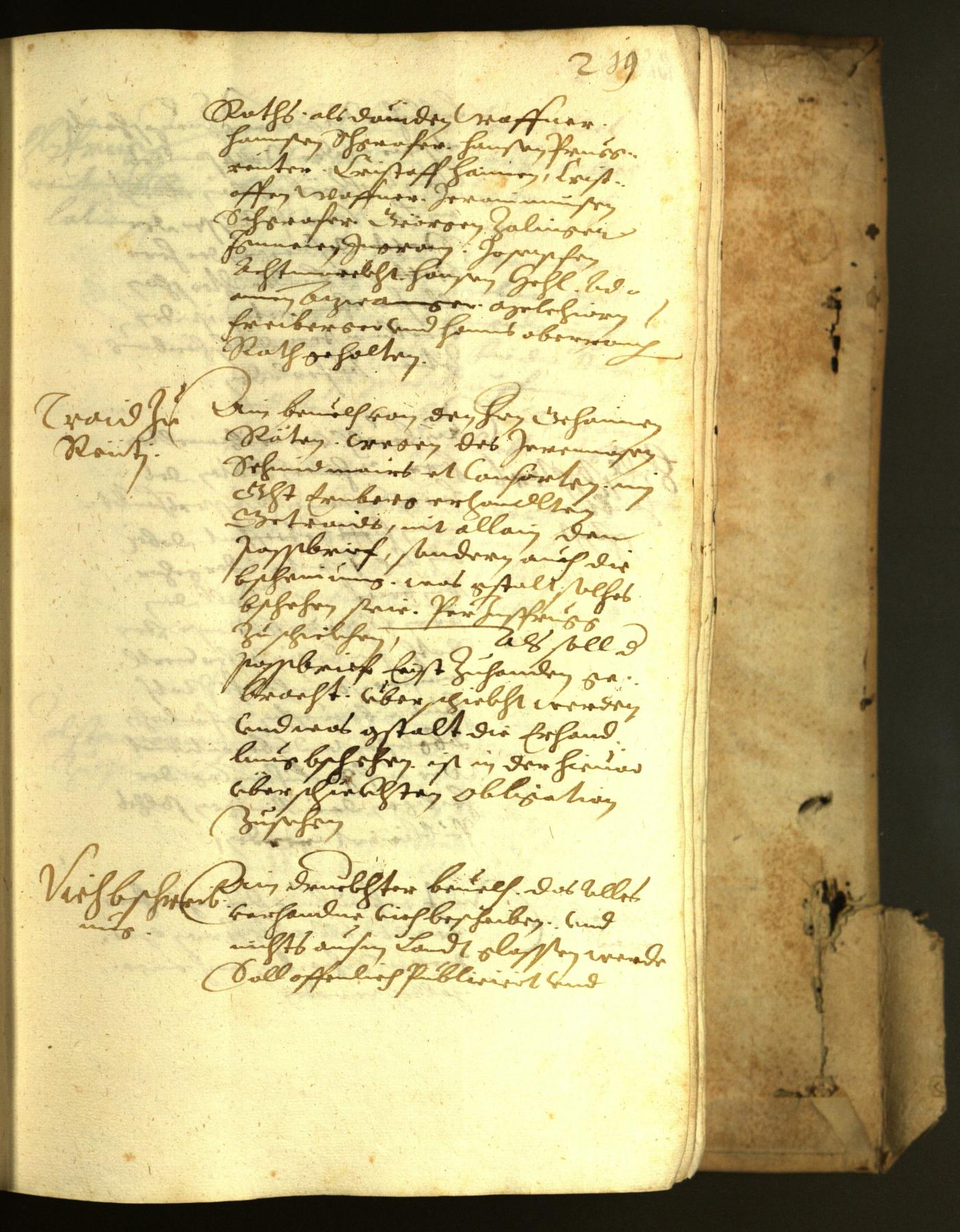 Civic Archives of Bozen-Bolzano - BOhisto Minutes of the council 1622 