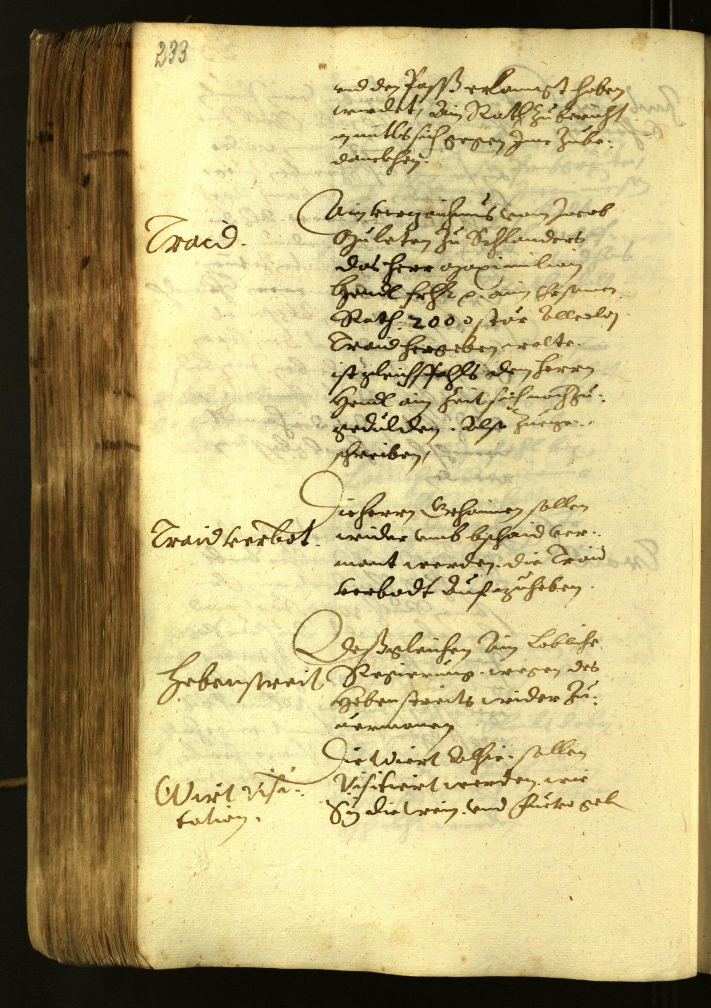 Civic Archives of Bozen-Bolzano - BOhisto Minutes of the council 1622 