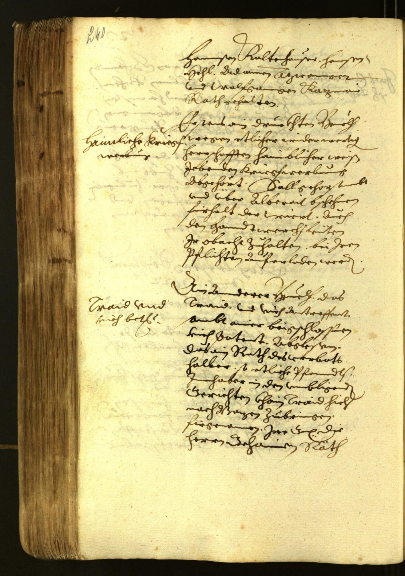 Stadtarchiv Bozen - BOhisto Ratsprotokoll 1622 