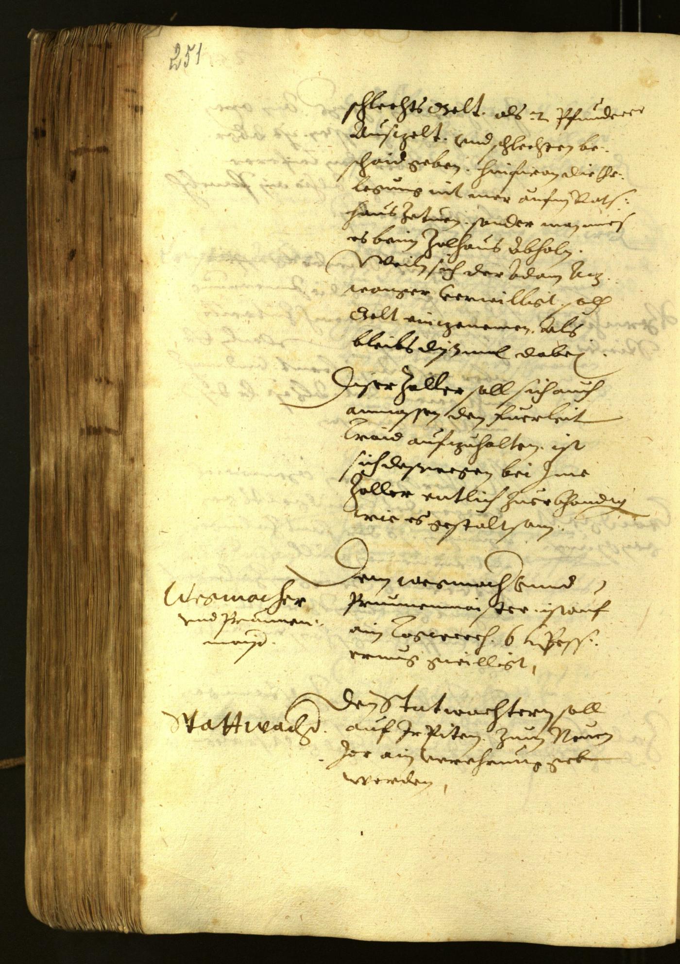 Stadtarchiv Bozen - BOhisto Ratsprotokoll 1622 