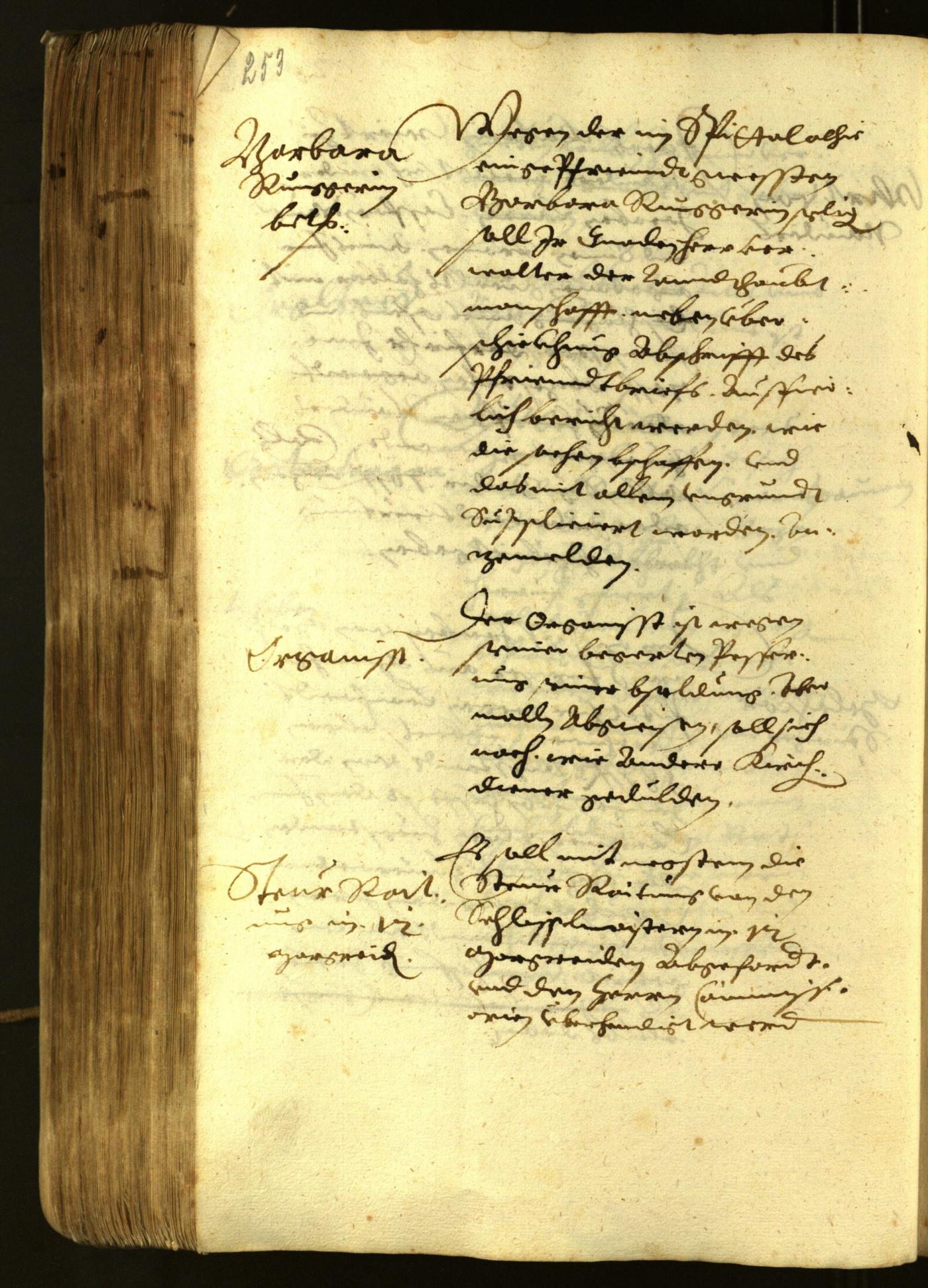 Stadtarchiv Bozen - BOhisto Ratsprotokoll 1622 