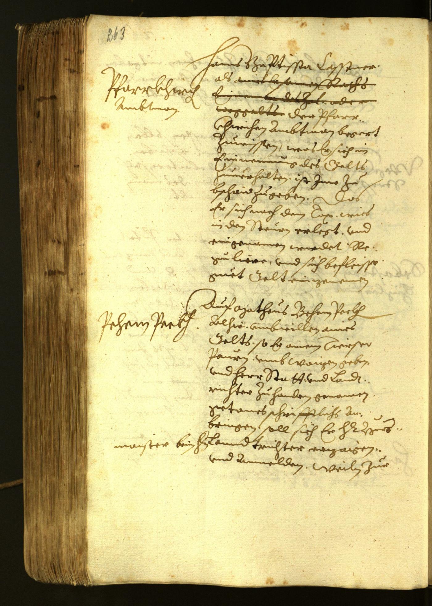 Stadtarchiv Bozen - BOhisto Ratsprotokoll 1622 