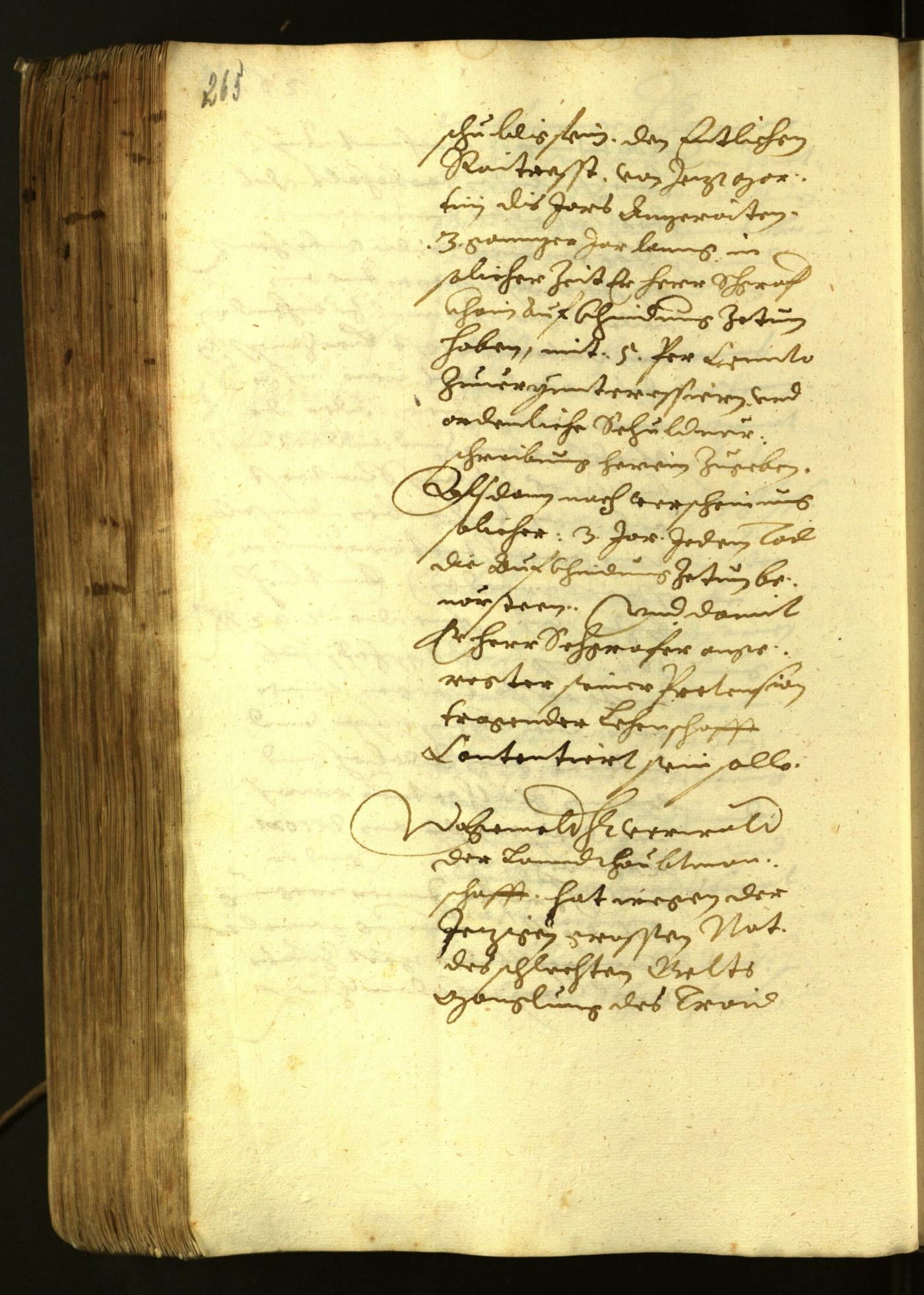 Archivio Storico della Città di Bolzano - BOhisto protocollo consiliare 1622 