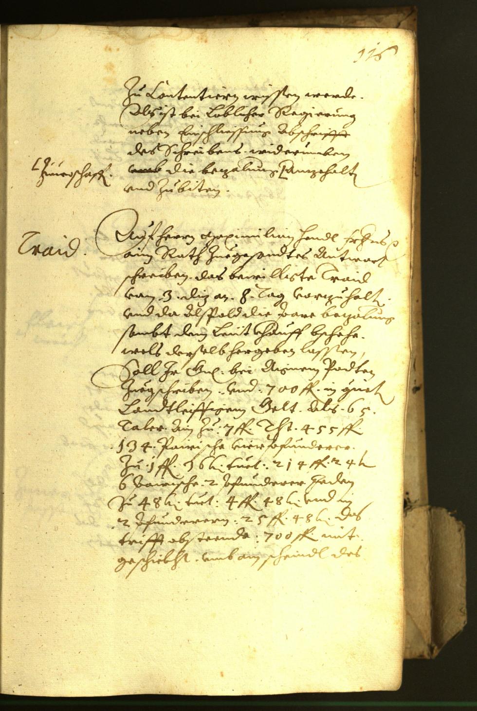 Civic Archives of Bozen-Bolzano - BOhisto Minutes of the council 1622 